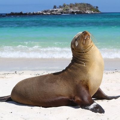 10 Days Luxury Galapagos - West & Central Islands